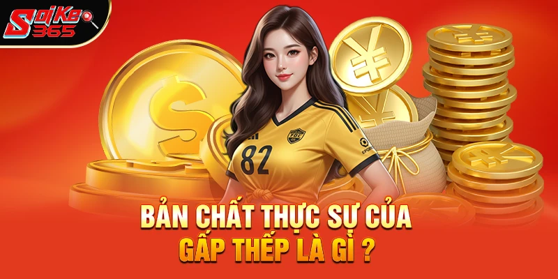 Bản chất thực sự của gấp thếp là gì ?