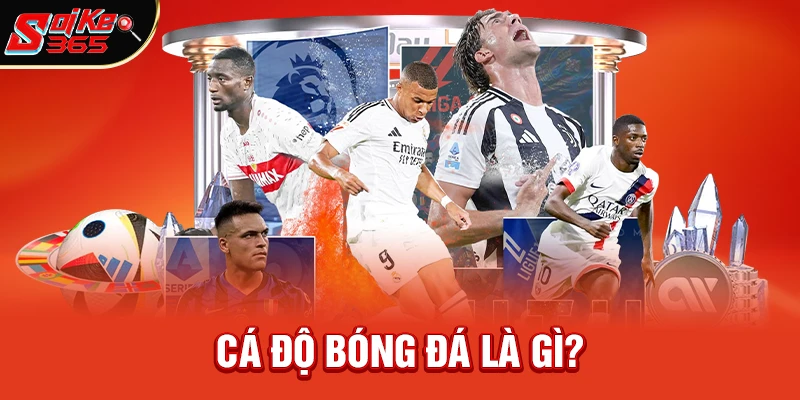 Cá Độ Bóng Đá Là Gì? Khái Niệm Cơ Bản Và Sự Khác Biệt Với Cờ Bạc Thông Thường