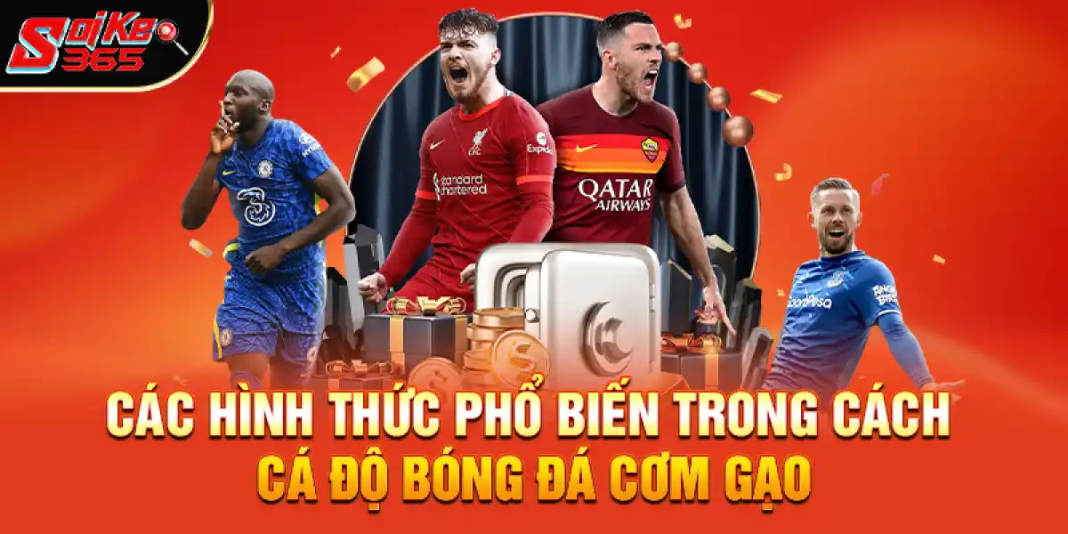 Các hình thức phổ biến trong cách cá độ bóng đá cơm gạo