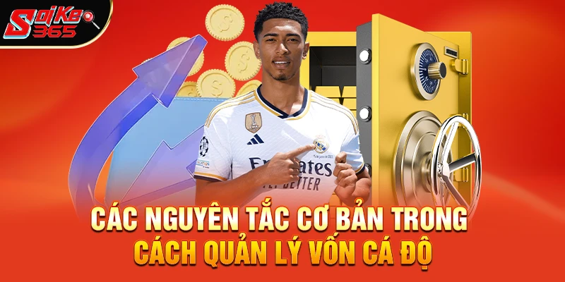 Các Nguyên Tắc Cơ Bản Trong Cách Quản Lý Vốn Cá Độ Ai Cũng Phải Nắm