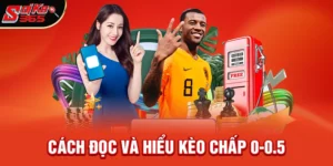 Kèo Chấp 0-0.5 Là Gì? Hướng Dẫn Chi Tiết & Bí Quyết Chơi Hiệu Quả 2026