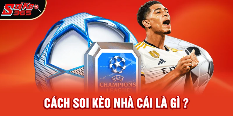 Cách Soi Kèo Nhà Cái Là Gì Và Tại Sao Lại Quan Trọng Đến Thế?