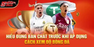 Cách xem độ bóng đá hiệu quả cho người mới và người chơi lâu năm