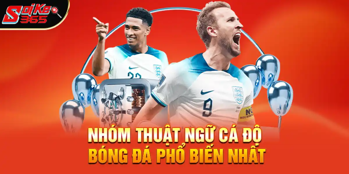 Nhóm thuật ngữ cá độ bóng đá phổ biến nhất hiện nay