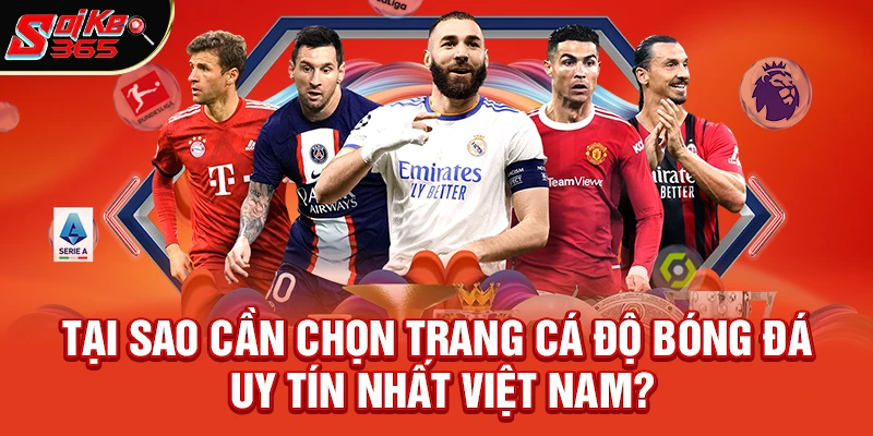 Tại Sao Cần Chọn Trang Cá Độ Bóng Đá Uy Tín Nhất Việt Nam?
