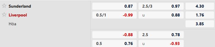 Sunderland vs Liverpool