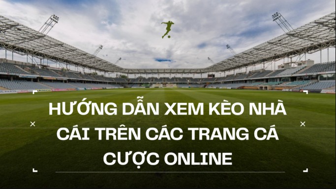 Hướng dẫn cách soi kèo nhà cái trực tuyến